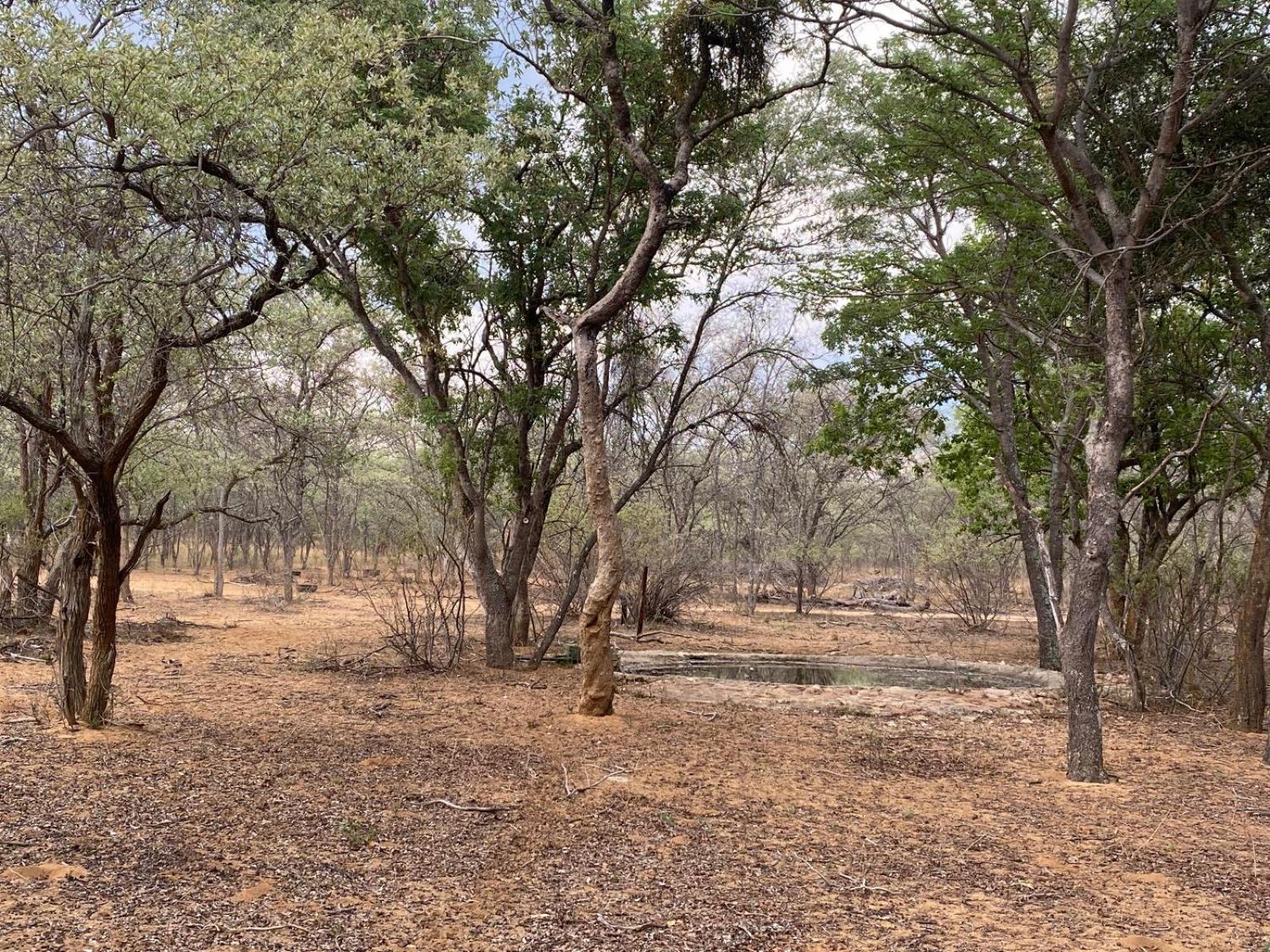 Kigeni Safari Lodge & Spa Vaalwater Rum bild