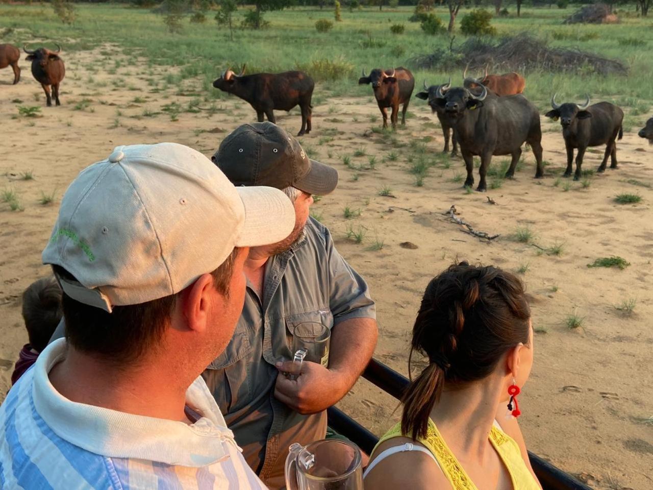 Kigeni Safari Lodge & Spa Vaalwater Exteriör bild