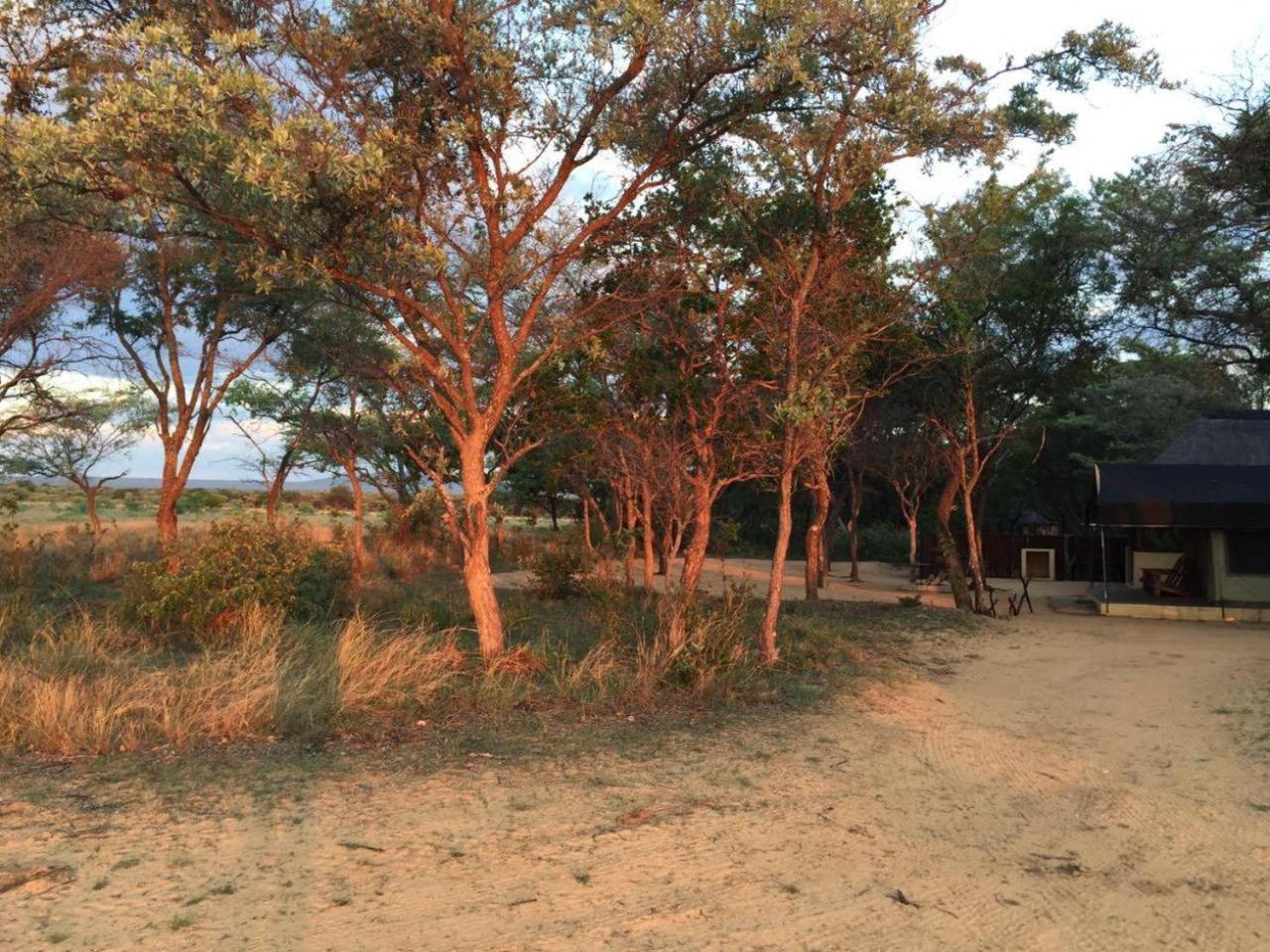 Kigeni Safari Lodge & Spa Vaalwater Exteriör bild
